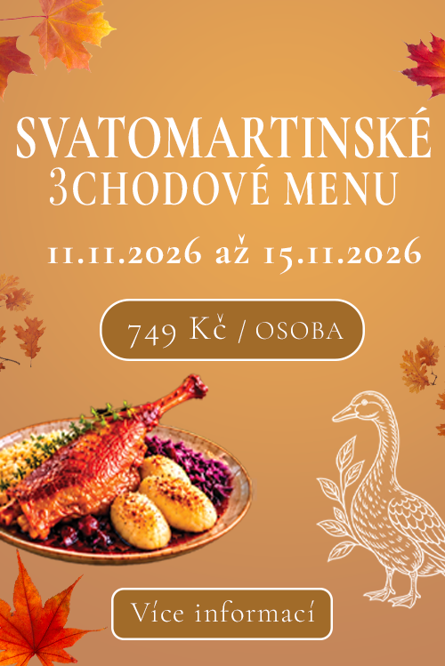 Svatomartinská husa
